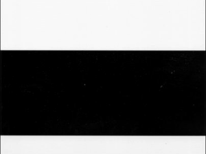 Form 3B Leneta Opacity Chart | Black & White Sealed Card