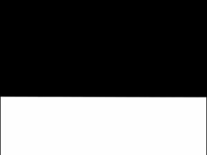 Form 2A Leneta Opacity Chart | Black & White Sealed Card