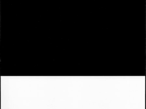 Form 2C Leneta Opacity Chart