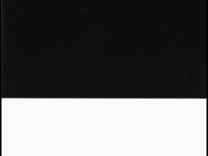 Form 2C Leneta Opacity Chart